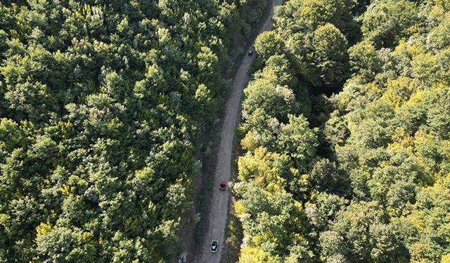 Tekirdağ'da Ganos Dağı eteklerindeki ormanlar ekstrem spor tutkunlarını ağırlıyor