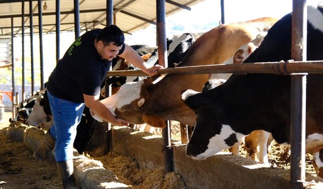 Üç inekle başladığı hayvancılıkta sürü sahibi oldu