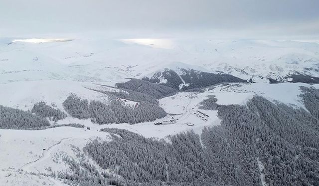 Rize ve Giresun'da kar etkili oldu