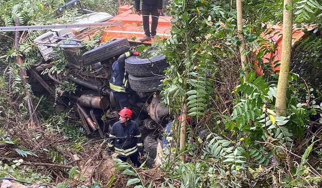 Kocaeli'de korkunç kaza! Kamyon ağaçlık alana uçtu