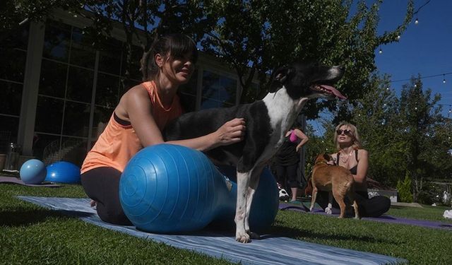 Sporsever kadınlar "patili dostlarıyla" pilates yaptı