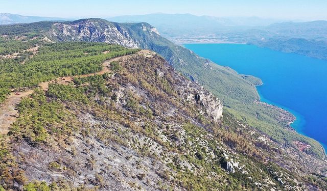 Menteşe'de ormancılar 6 kilometre "yangın şeridi" açarak alevlerin önünü kesti