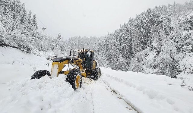 Karadeniz'de karla mücadele çalışmaları devam ediyor