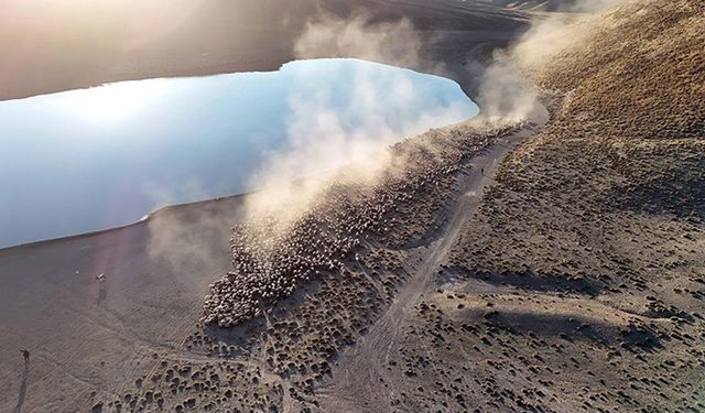 Sürülerin Nemrut Dağı'na tozlu yolculuğu