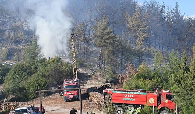 Osmaniye'de çıkan orman yangını söndürüldü