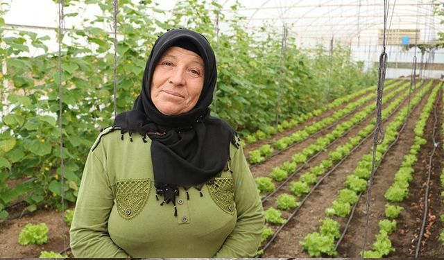 Devlet desteğiyle seracı olan kadın yetiştirdiği ürünleri müşterilerine satıyor