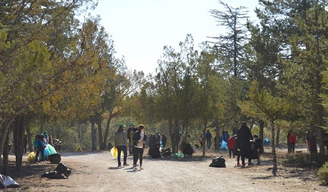 Bursa ve çevre illerde orman temizliği yapıldı