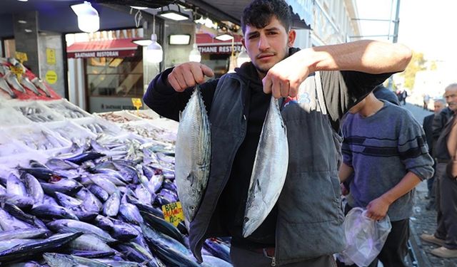 Karadeniz'de yağlanan ve büyüyen palamut yüz güldürdü