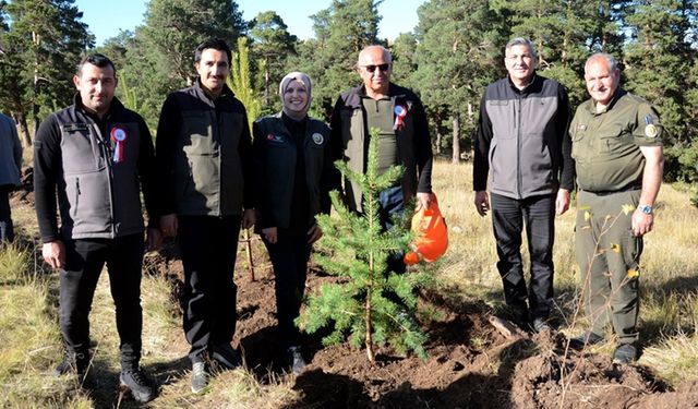 Kars'ta Sarıkamış ve Çanakkale şehitleri anısına hatıra ormanı oluşturuldu