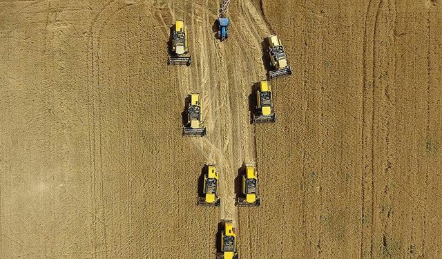 Tarım sektöründen ihracatta ocak-eylül rekoru