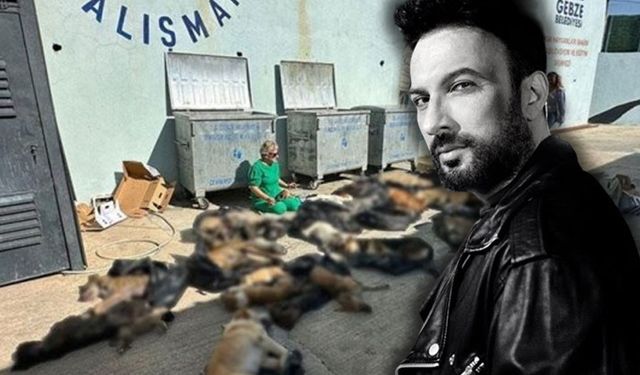 Tarkan'dan hayvan katliamına sert tepki: Vicdanlarınıza yazıklar olsun!