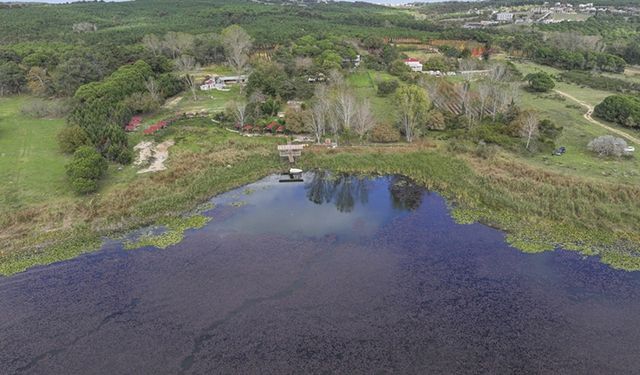 Terkos Gölü'ndeki doğanın renkleri dronla görüntülendi