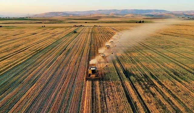 Çiftçilere 185,8 milyon liralık tarımsal destekleme ödemesi yapıldı