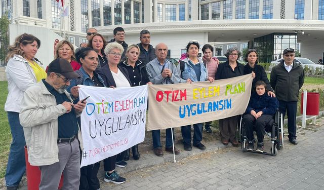 Türkiye Otizm Meclisi'nden Acil Çağrı: "Otizm Eylem Planı Hayata Geçirilmeli"