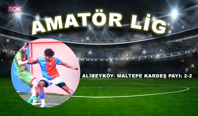 Alibeyköy- Maltepe kardeş payı: 2-2