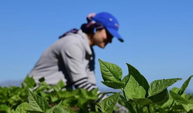 IPARD Programı'ndan faydalanan genç girişimciler artıyor