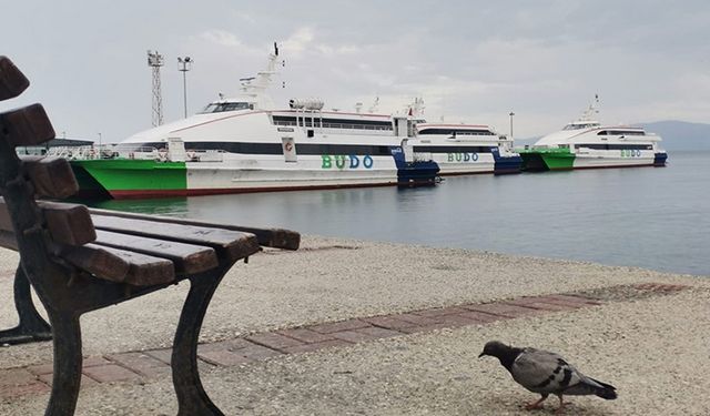 Bursa Deniz Otobüsleri seferlerinin tamamı iptal edildi