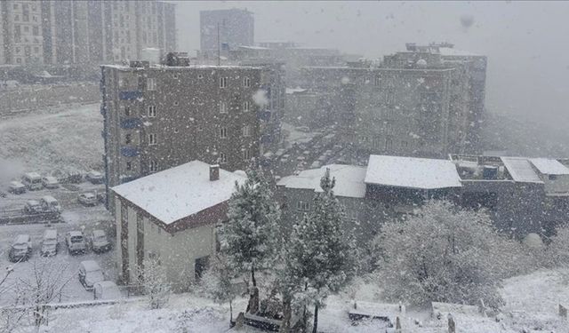 Bingöl ve Şırnak'ta 29 yerleşim yerine ulaşım sağlanamıyor