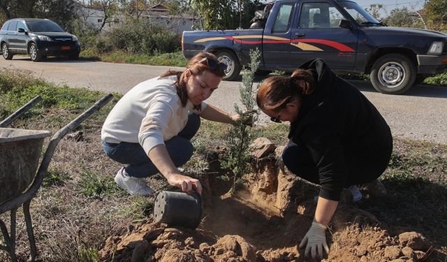 Batı Trakya Türkleri, yangınlardan etkilenen bölgelere fidan dikiyor