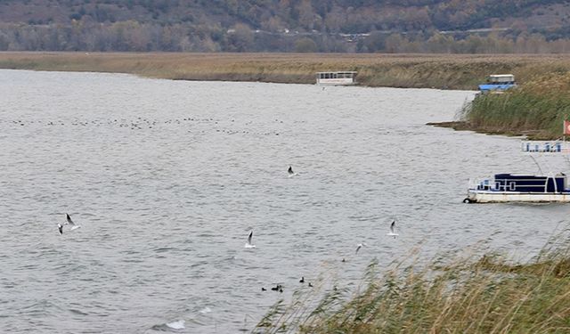 Son yağışlar kuraklığın etkisiyle su seviyesi azalan Sapanca Gölü'ne yaradı