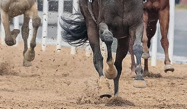 TJK Başkanı Serdal Adalı, atçılıkta "VAR" sisteminin uygulanacağını açıkladı