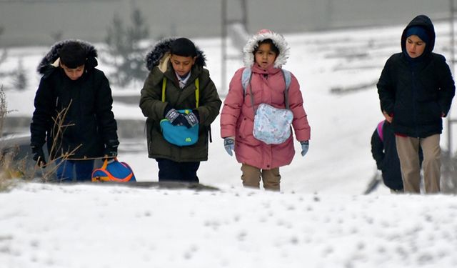 Kars, Ardahan, Ağrı ve Tunceli'de kar yağışı etkili oldu