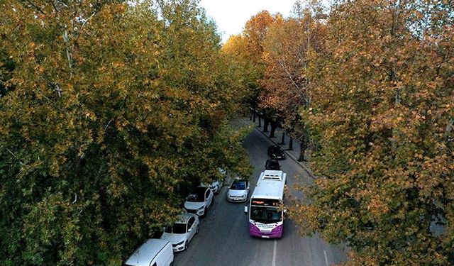 Karaçomak Deresi boyunca uzanan ağaçların sonbahar renkleri dron ile görüntülendi