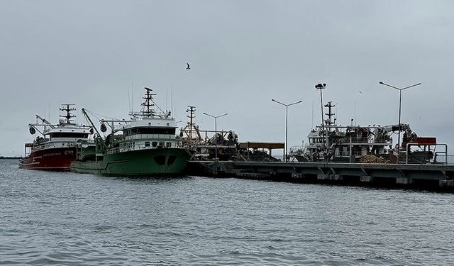 Karadeniz'de kötü hava koşulları balık avcılığını olumsuz etkiliyor