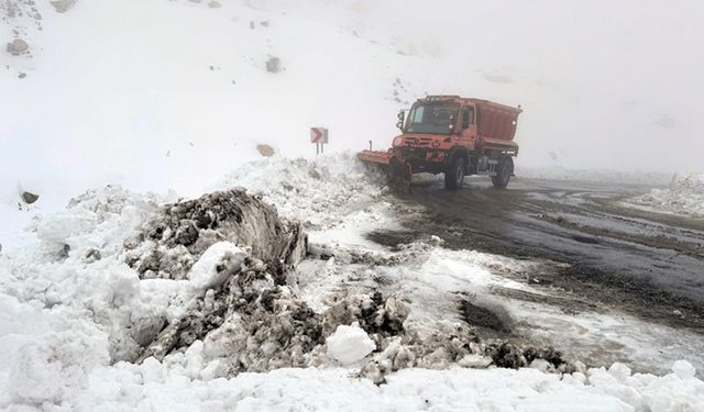 Yoğun kar ve sis nedeniyle kapatılan Van-Bahçesaray kara yolu ulaşıma açıldı