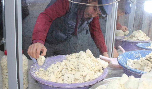 Siirt’te kışlık peynir satışa çıktı