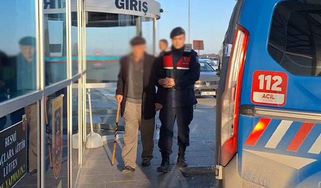 Samsun'da hayvana saldırı iddiasıyla gözaltına alınan zanlı tutuklandı