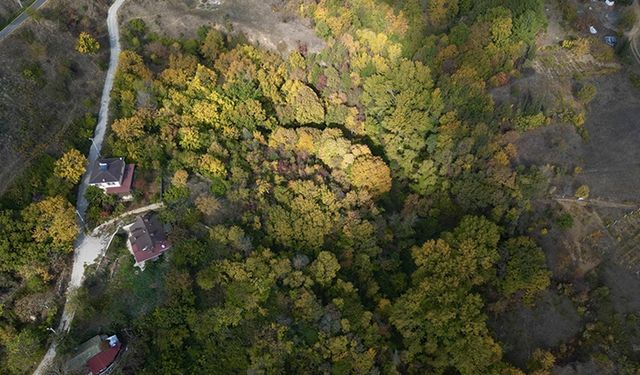 Tekirdağ sonbaharda da yerli ve yabancı turistleri ağırlıyor