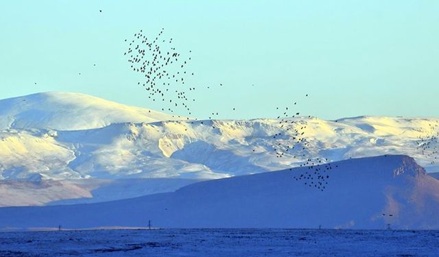 Kars'ta etkili olan kar yağışı etrafı beyaza bürüdü