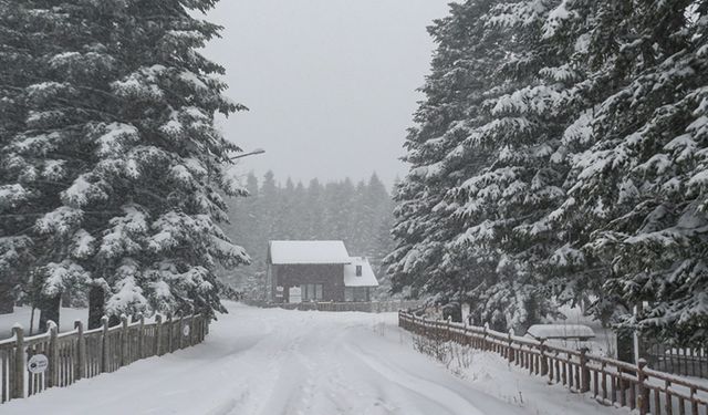 Uludağ'a erken gelen kar turizmcilerin umutlarını artırdı