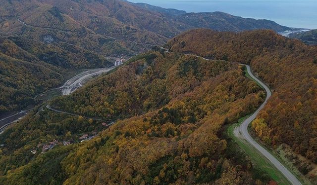 Karadeniz'de sonbahar tüm renkleriyle yaşanıyor