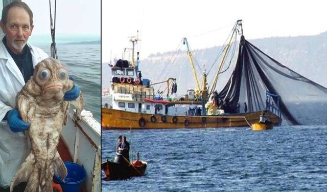 Bakan bir daha baktı! Rusya'da denizden insan gibi yüzü olan balık çıktı