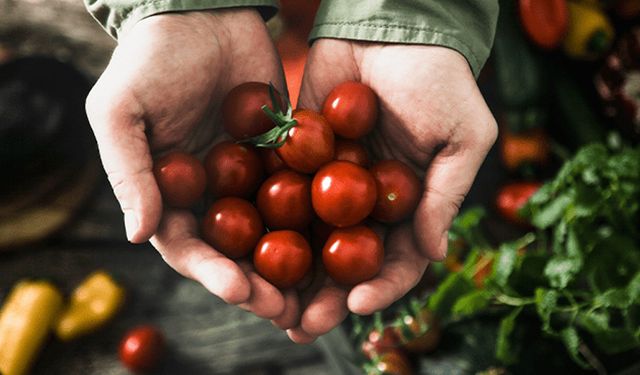 Sebzeleri sadece tüketmeyin: Mümkünse yetiştirin