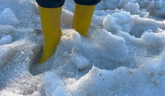 Antalya'da dolu ve sağanak seralara zarar verdi