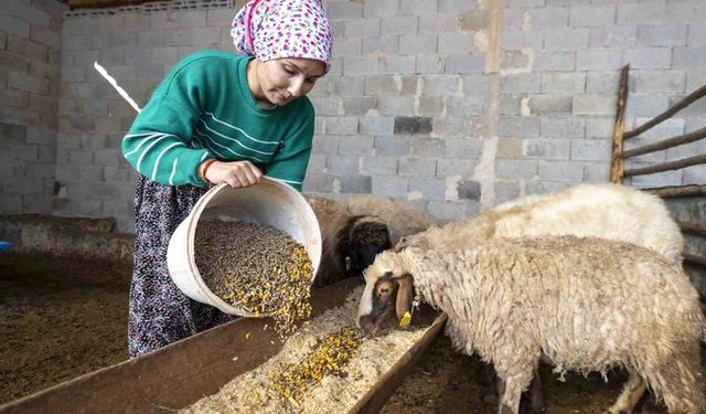 ’Hadi Gel Köyümüze Geri Dönelim’ projesi bir genci deha üretime kazandırdı