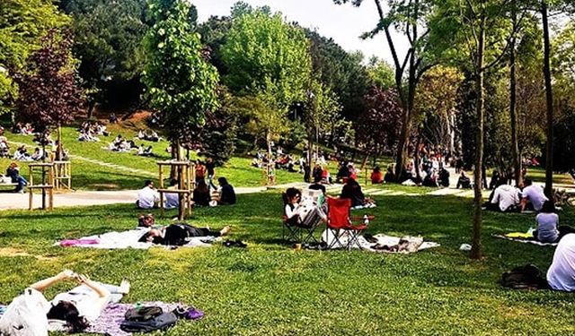 Mümkün olduğunca parklara gidin