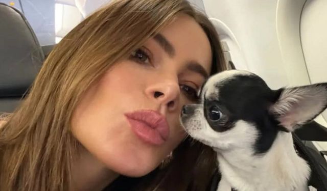 Sofia Vergara'nın hayatında kimse yok: Sadece köpeği var