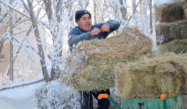 Dondurucu soğukların etkili olduğu Erzurum'da yaşam zorlu geçiyor