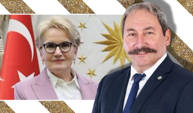 Mehmet Tolga Akalın'dan Meral Akşener'e 'çakma sarışın' çıkışı: 'İYİ Parti'yi çiftliği zannediyorlar'