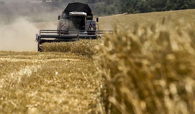 Rusya mevcut tarım sezonunda 57 milyon ton tahıl ihracatı planlıyor