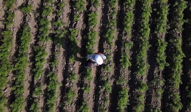 Uzmanından üreticilere topraktaki organik madde miktarını arttırmaları önerisi