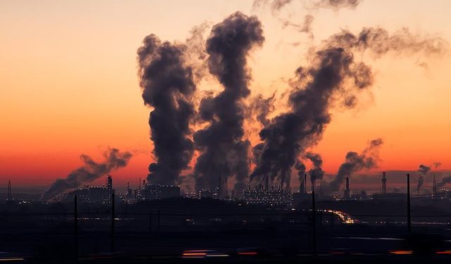 Hava kirliliği doğurganlık yüzdesini düşürüyor