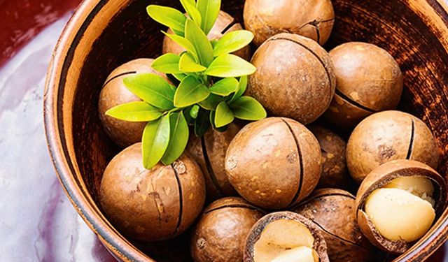 Yeni kuruyemiş trendi: Macadamia fındığı