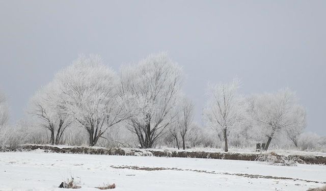 Ağrı'da soğuk hava etkili oldu