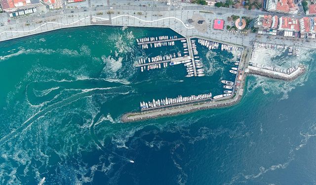 Çanakkale Boğazı'nda kabus geri döndü!