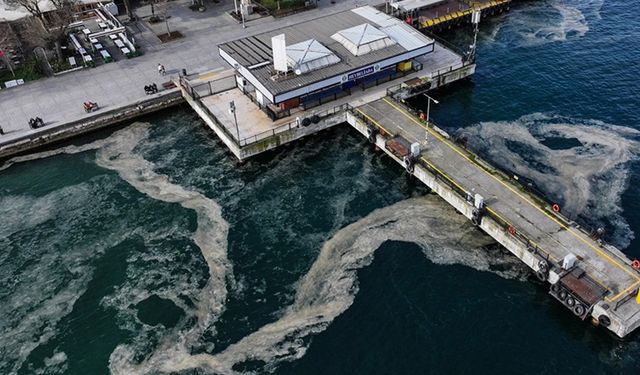 Marmara Denizi'nin Adalar bölgesinde müsilaj görülmeye devam ediyor